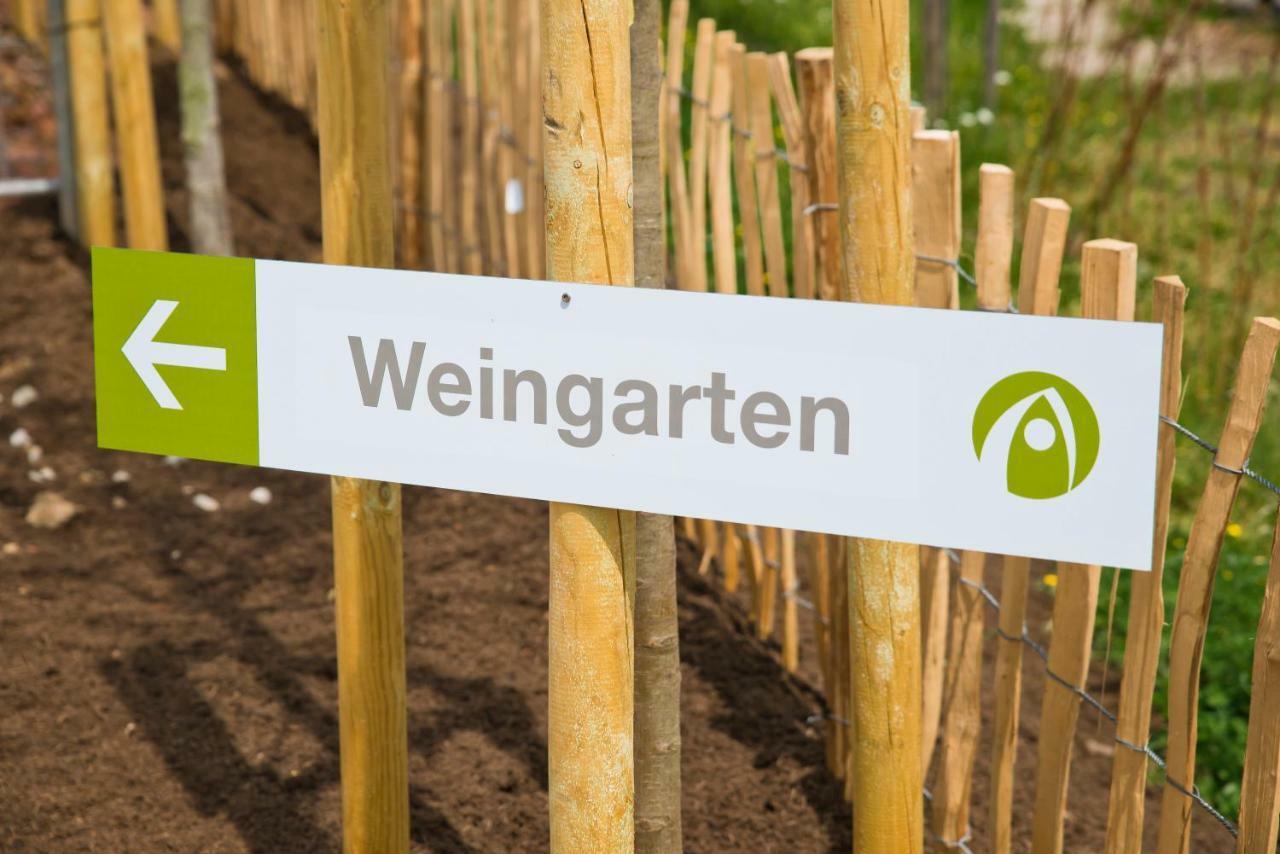 Glamping Resort Biosphaere Bliesgau Kleinblittersdorf Buitenkant foto